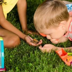 B. toys – Bug Bungalow