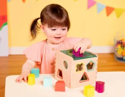 B. toys – Wonder Cube