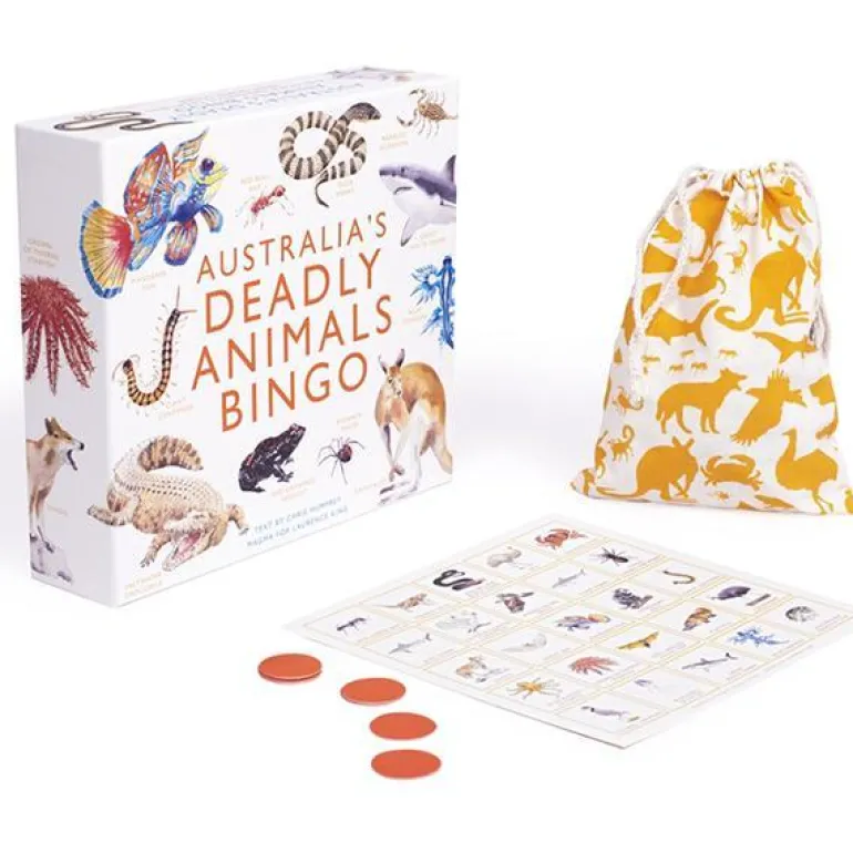 Brumby - Bingo - Australia's Deadly Animals