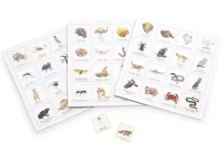 Brumby - Bingo - Australia's Deadly Animals