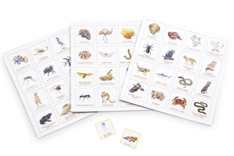 Brumby - Bingo - Australia's Deadly Animals