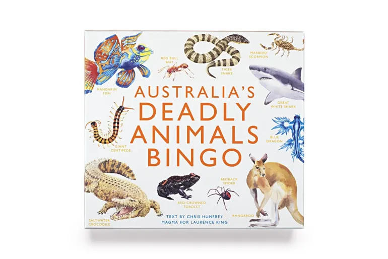 Brumby - Bingo - Australia's Deadly Animals