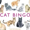 Brumby - Bingo - Cat