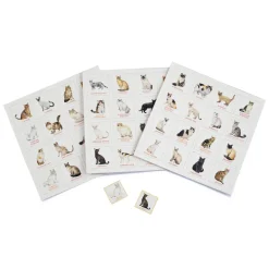 Brumby - Bingo - Cat