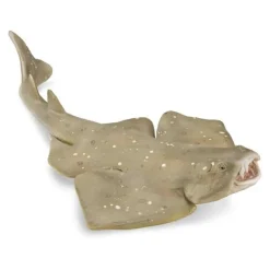 Collecta - Angel Shark