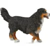 Collecta - Bernese Mountain Dog