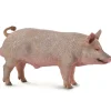 Collecta - Boar