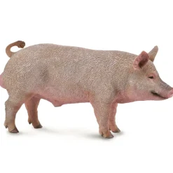 Collecta - Boar