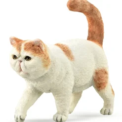 Collecta - Cat Exotic Shorthair