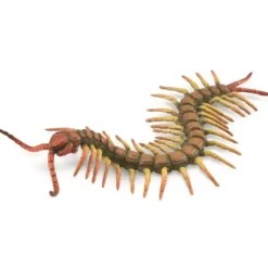 Collecta - Centipede