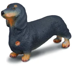 Collecta - Dachshund