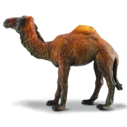 Collecta - Dromedary Camel