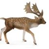 Collecta - Fallow Deer Male