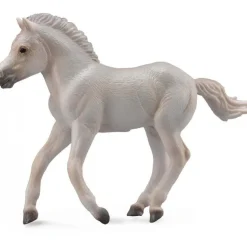Collecta - Fjord Foal Grey