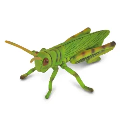 Collecta - Grasshopper