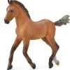 Collecta - Hanoverian Foal Bay