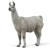 Collecta - Llama