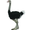 Collecta - Ostrich