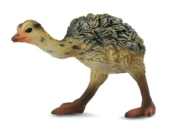 Collecta - Ostrich Chick Walking