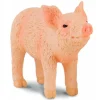 Collecta - Piglet Standing Smelling