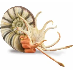 Collecta - Pleuroceras Ammonite