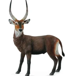 Collecta - Waterbuck