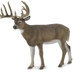 Collecta - White-Tailed Deer