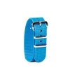 Easy Read - Watch Bands - Bright Blue