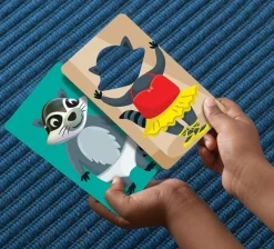 Educational Insights - Racoon Rumpus