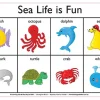 Edvantage - Placemat - Sea Life is Fun