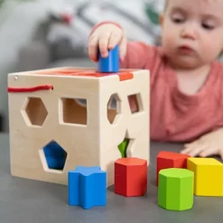 Fat Brain - Take Along Shape Sorter