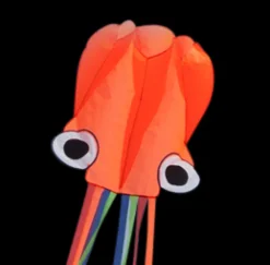 High as a Kite - Octopus Kite