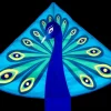 High as a Kite - Peacock Kite