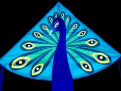 High as a Kite - Peacock Kite