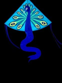 High as a Kite - Peacock Kite