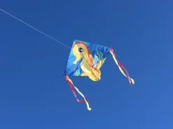 High as a Kite - Seahorse Kite