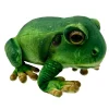 Huggable - Francis Frog