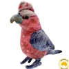 Huggable - Gabrielle Galah