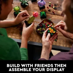 LEGO - Adults Botanical Collection Succulents (10309)