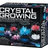 4M - Crystal Growing Experimental Kit