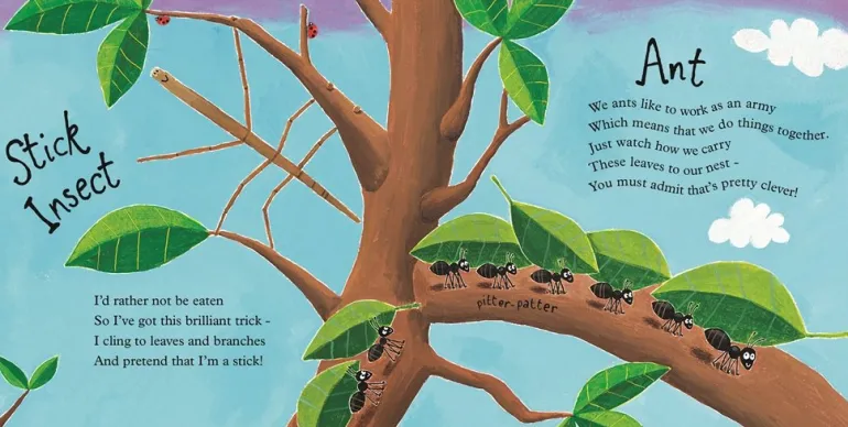 Mad About Mini Beasts (Paper Back)