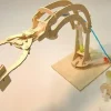 Pathfinder - Hydraulic Robotic Arm