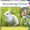 Ravensburger - 3 x 49Pc Cute Bunnies Puzzle