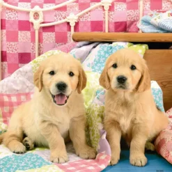 Ravensburger - 3 x 49Pc Cute Puppy Dogs Puzzle