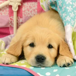 Ravensburger - 3 x 49Pc Cute Puppy Dogs Puzzle