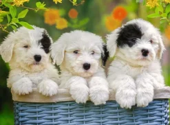 Ravensburger - 200Pc Cuddly Puppies Puzzle