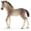 Schleich - Andalusian Foal