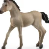 Schleich - Criollo Definitivo Foal