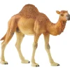 Schleich - Dromedary Camel