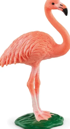 Schleich - Flamingo